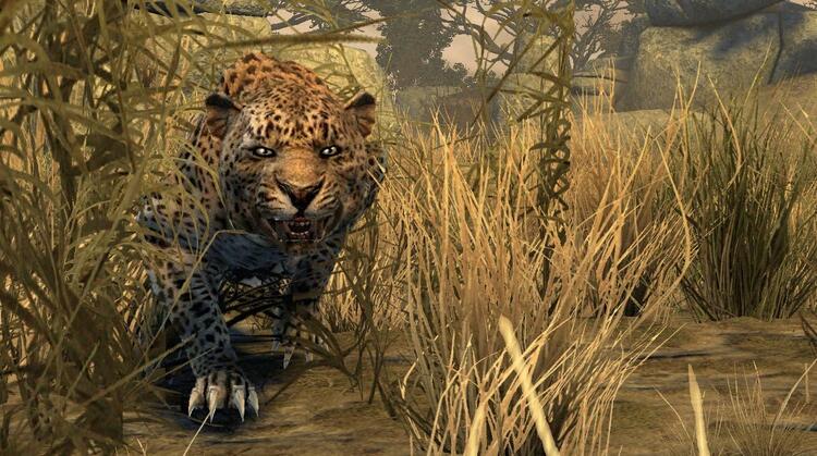 Cabela's Dangerous Hunts 2011 (used)