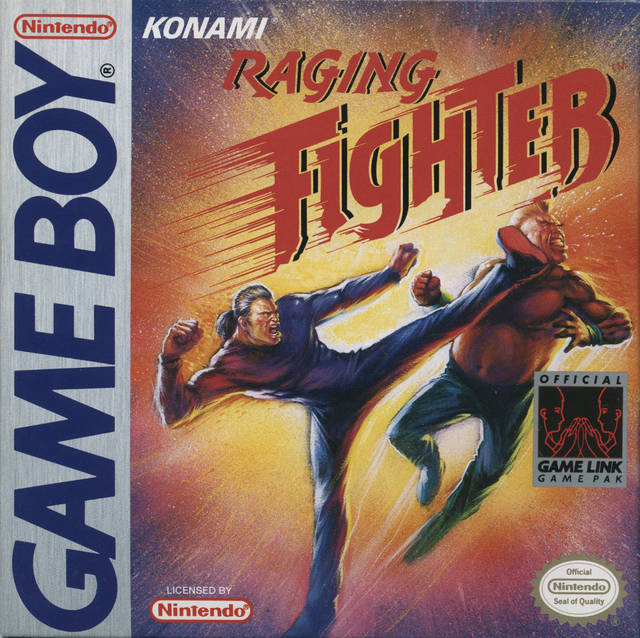 Raging Fighter (used)