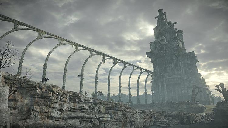 SHADOW OF THE COLOSSUS (usagé)