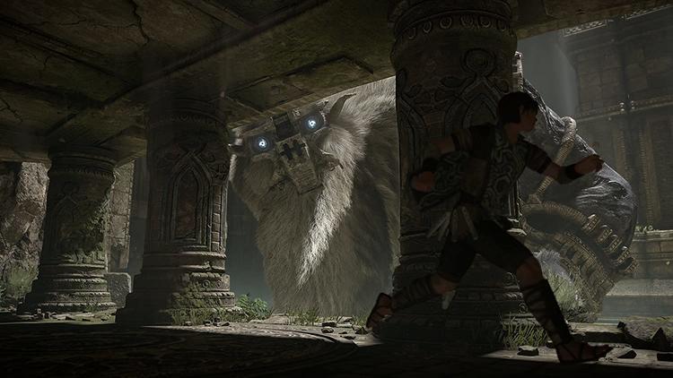 SHADOW OF THE COLOSSUS (usagé)