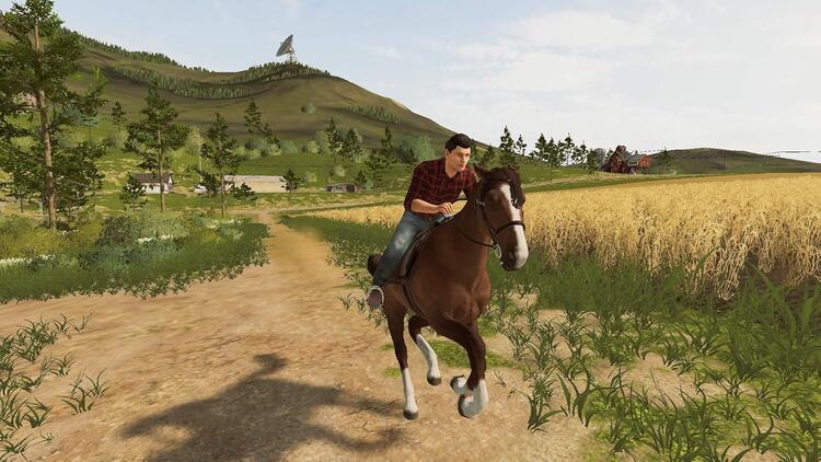 Farming Simulator 20 (used)