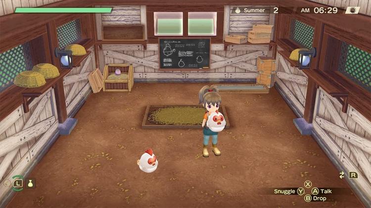 Story of Seasons - A Wonderful life (usagé)