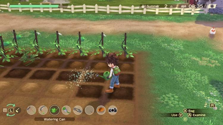 Story of Seasons - A Wonderful life (usagé)