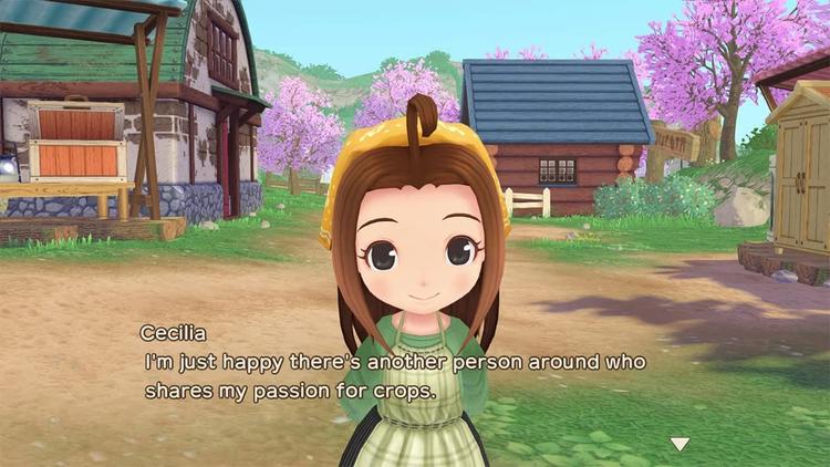 Story of Seasons - A Wonderful life (usagé)