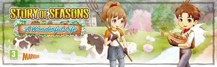 Story of Seasons - A Wonderful life (usagé)