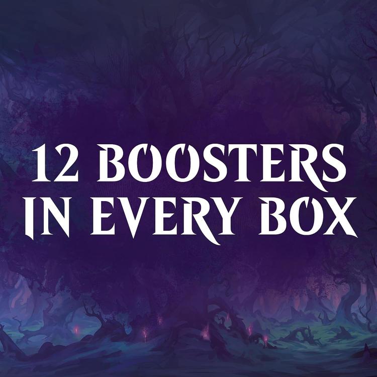 Magic The Gathering - Collector Boosters  -  Wilds of Eldraine